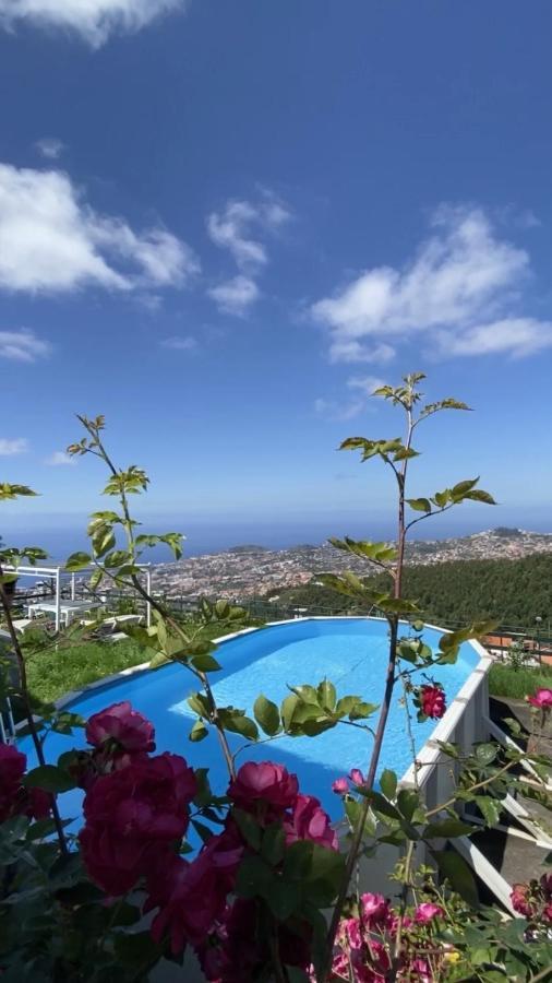 Studio Geek Villa - Open Space - 5M From 5 Top Attractions - Pool All Year Round, Dining Pergola, Barbecue - Funchal Matrix Holiday Home المظهر الخارجي الصورة
